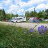 stellplatz-hw_web, © Naturpark Hohe Wand Campingplatz mit Wohnmobilen, Zelten und blühenden Blumen im Vordergrund.