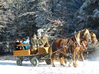 Kinderadvent Fahrt mit der Pferdekutsche, © Naturpark Hohe Wand Kinderadvent Fahrt mit der Pferdekutsche, © Naturpark Hohe Wand