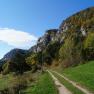 A hiking trail leads along a green meadow to a wooded hillside under a blue sky.