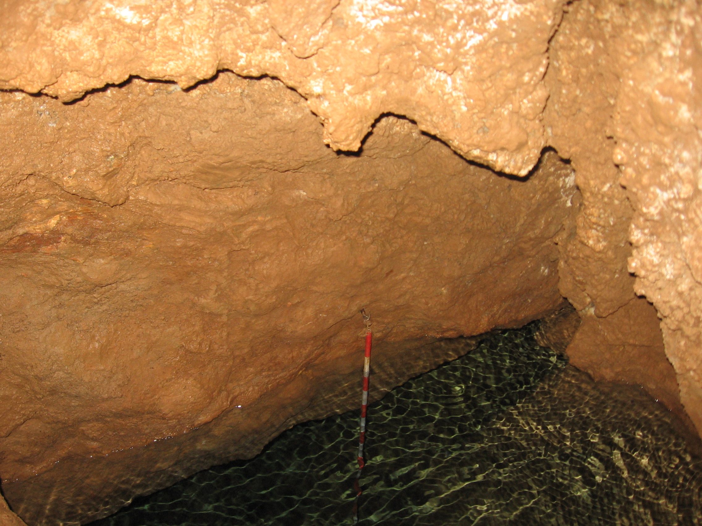 Interior view of a cave with water and brown rock walls.