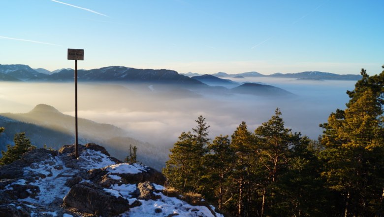 View from the Kleine Kanzel of mist-covered mountains and forests at sunrise.