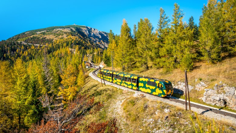 Ein Zug im Salamander-Design fährt durch eine herbstliche Berglandschaft mit blauem Himmel.