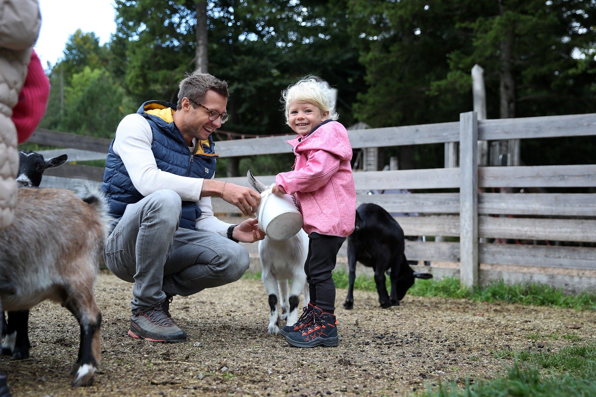 Ein kleines Mädchen und ihr Papa füttern die Ziegen
