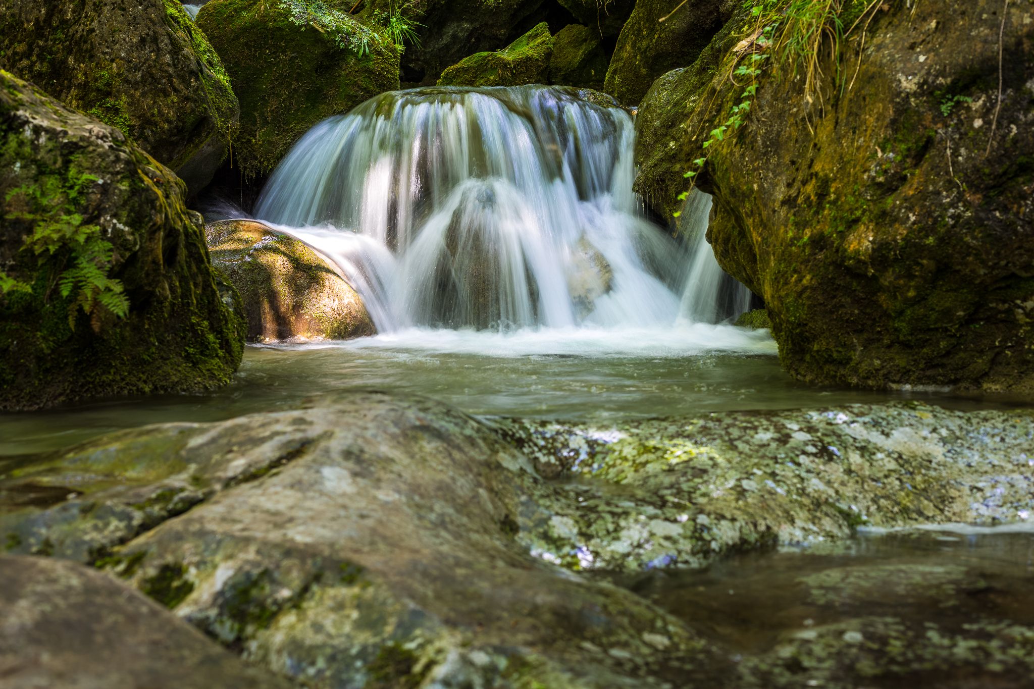 Ein kleiner Wasserfall fließt über moosbedeckte Felsen in einem Waldgebiet.