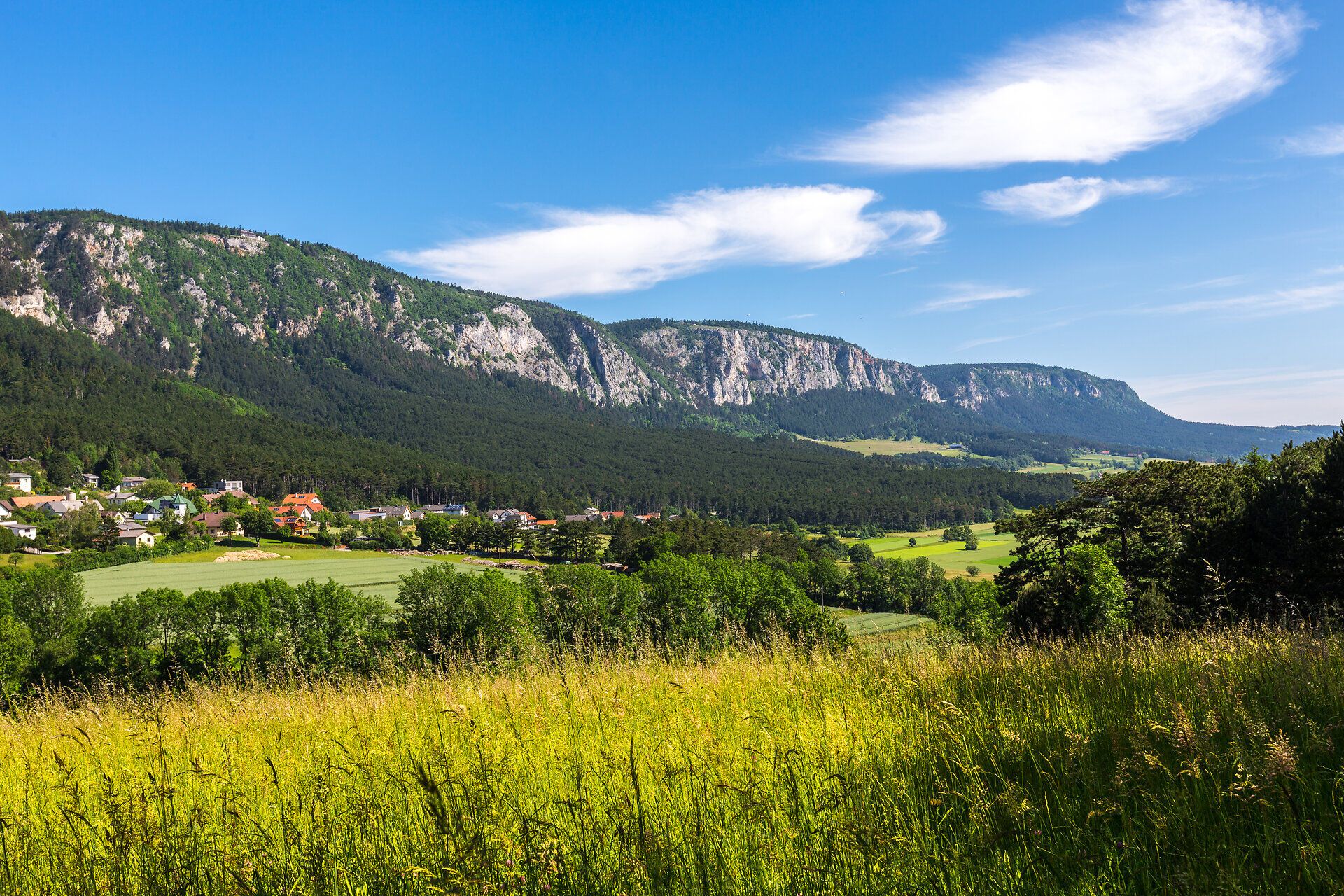 Imposanter Blick auf die Hohe Wand von Kienberg Zweiersdorf mit blühenden Feldern im Vordergrund