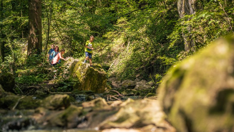 Familie wandert durch einen Wald mit Bachlauf.