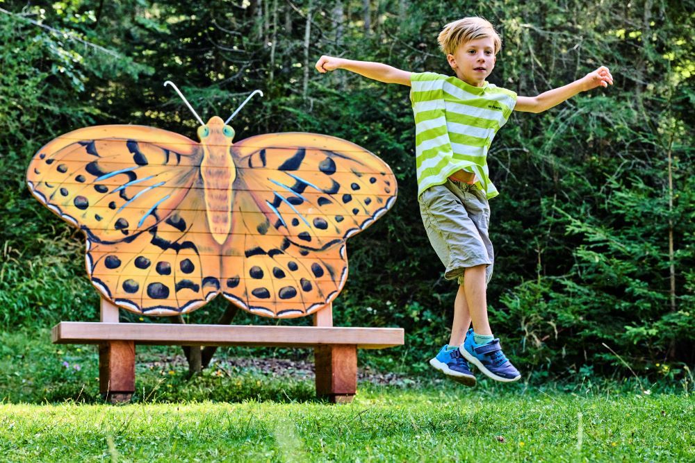 Schmetterlingsbank Schatzrunde Naturpark Hohe Wand 