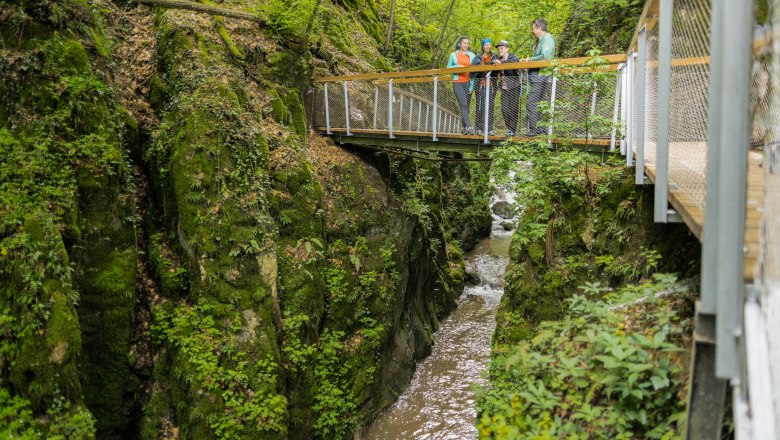 A group of people are standing on a footbridge over a wooded ravine with a stream.