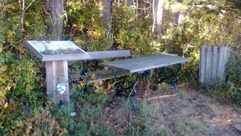 Holztisch und Bank in einem Wald mit Infotafel und M&uuml;lleimer.