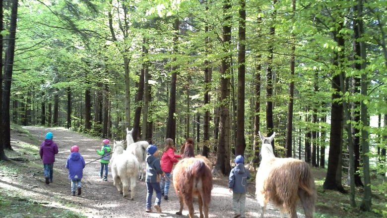 Lama und Alpaka Wanderung, © Naturpark Hohe Wand 