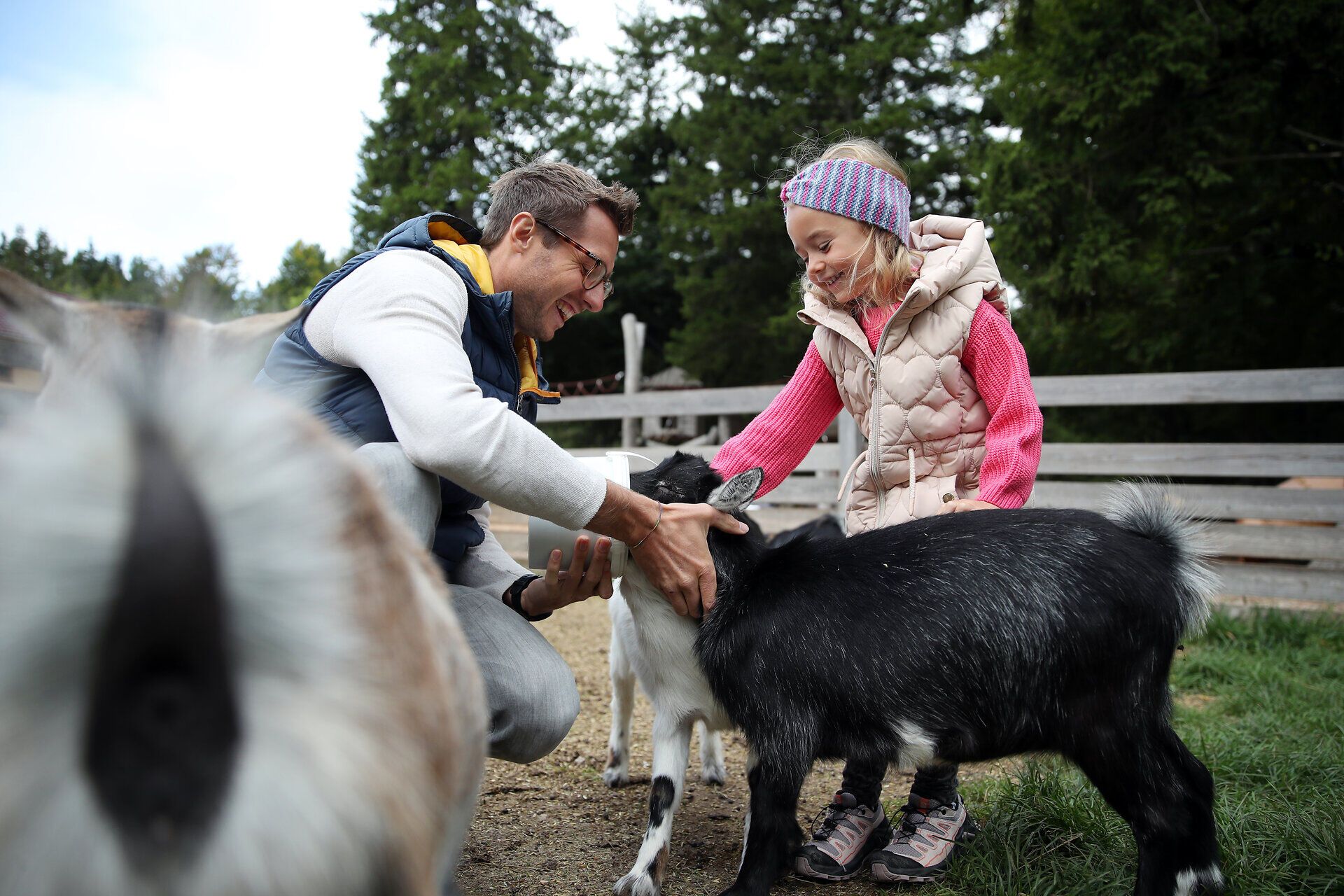 Ein Vater und sein Kind füttern eine Ziege im Streichelzoo im Naturpark Hohe Wand. 
