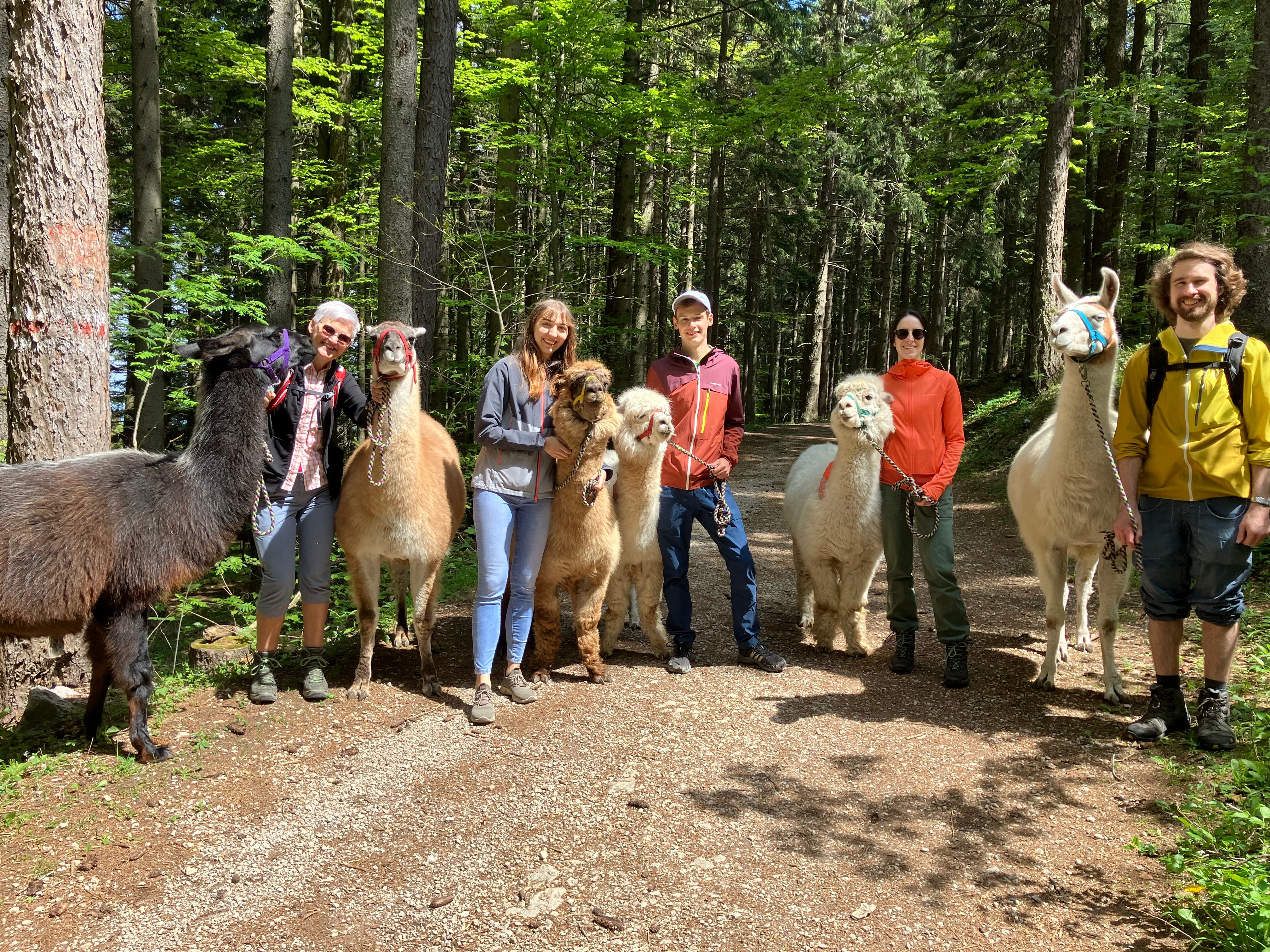 5Personen bei der Wanderung mit den Lamas und Alpakas vom Naturpark Hohe Wand 
