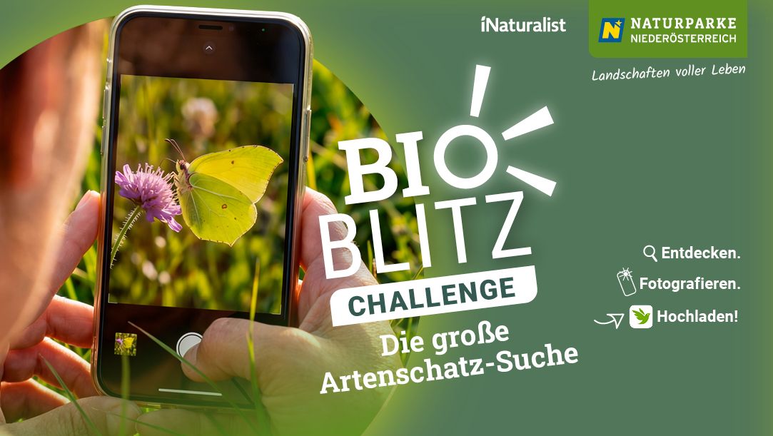 Bio Blitz Challenge 