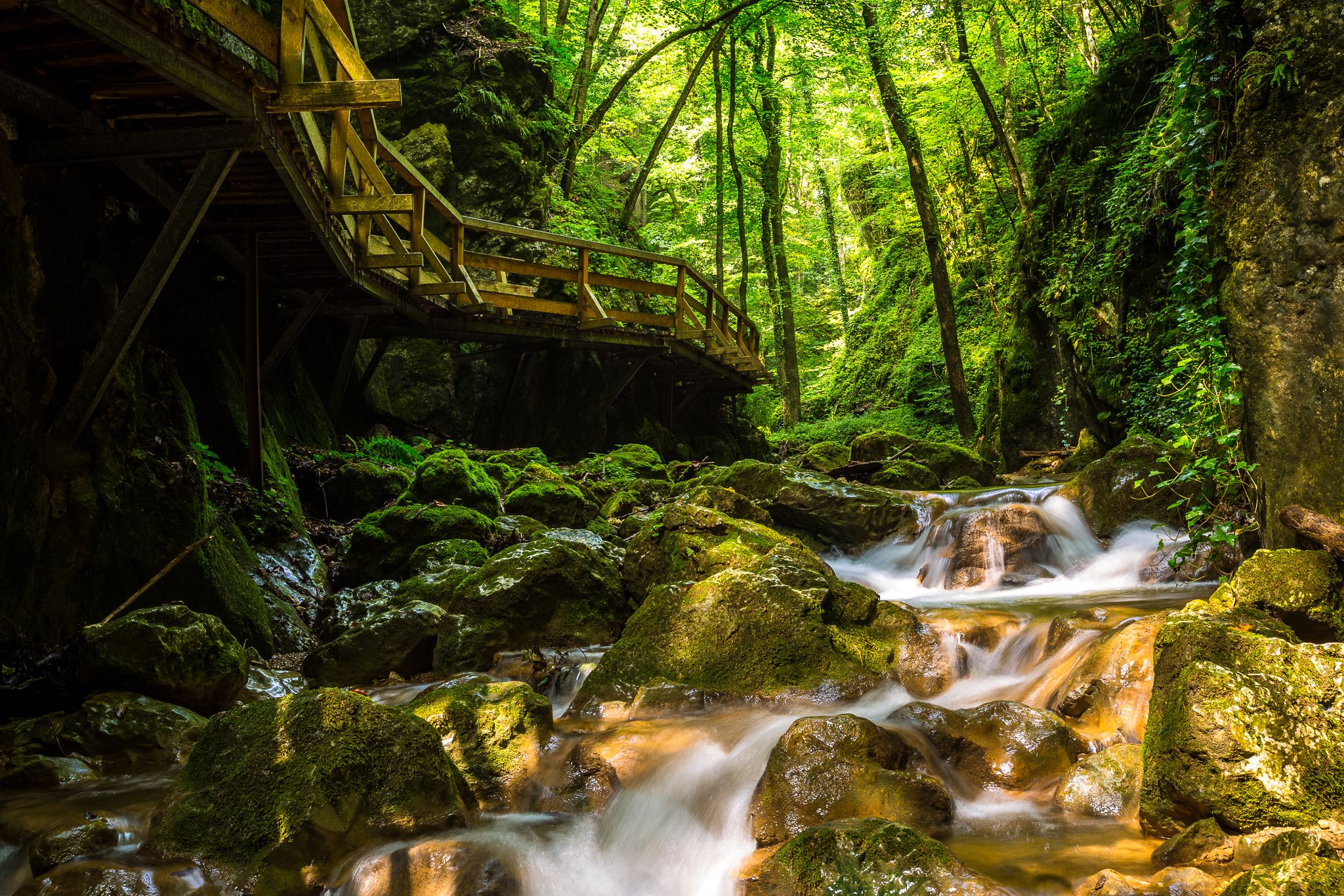 Ein Holzsteg führt durch eine grüne Schlucht mit fließendem Wasser und moosbedeckten Felsen.