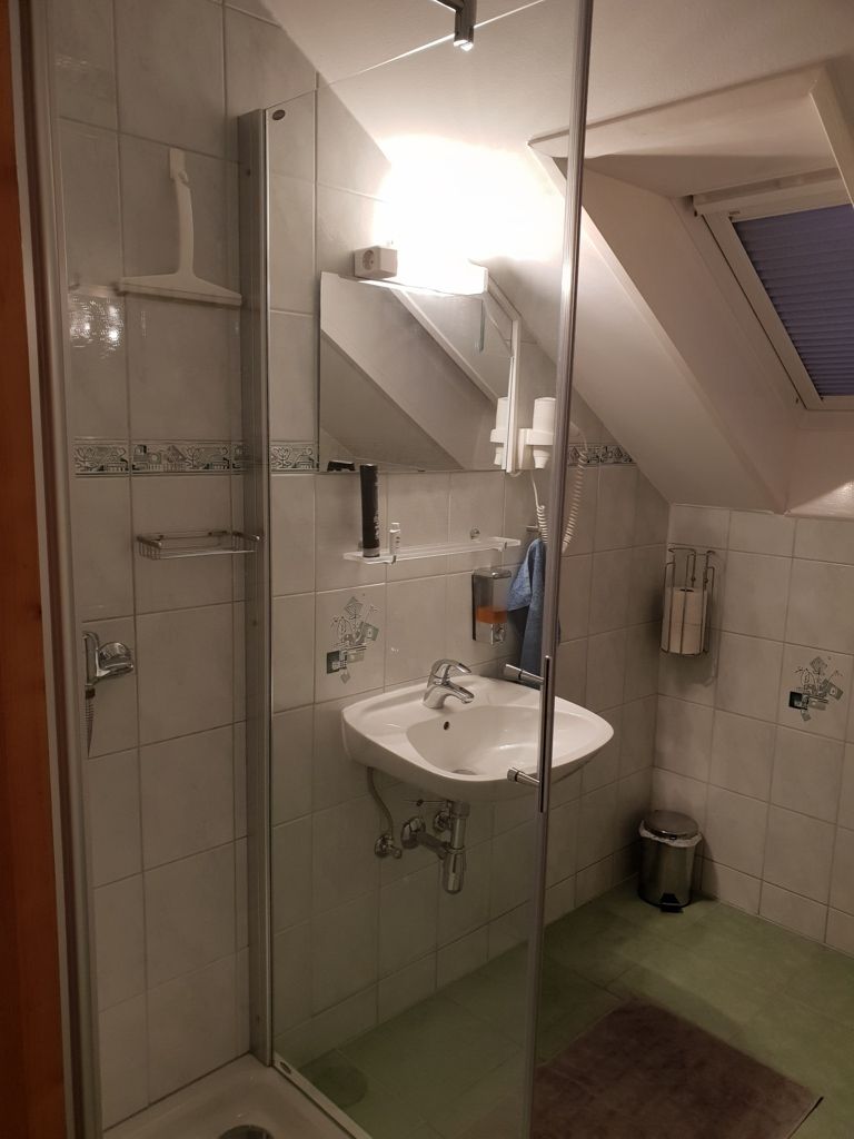 Fürdőszoba zuhanyzóval, mosdókagylóval, tükörrel és tetőablakkal.