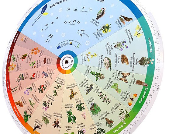 Naturtipps Drehscheibe 