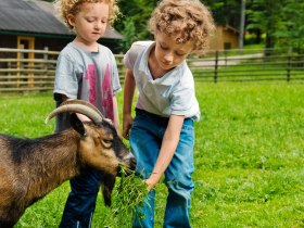 Naturpark Hohe Wand (Copyright: POV), &copy; Wiener Alpen in Nieder&ouml;sterreich