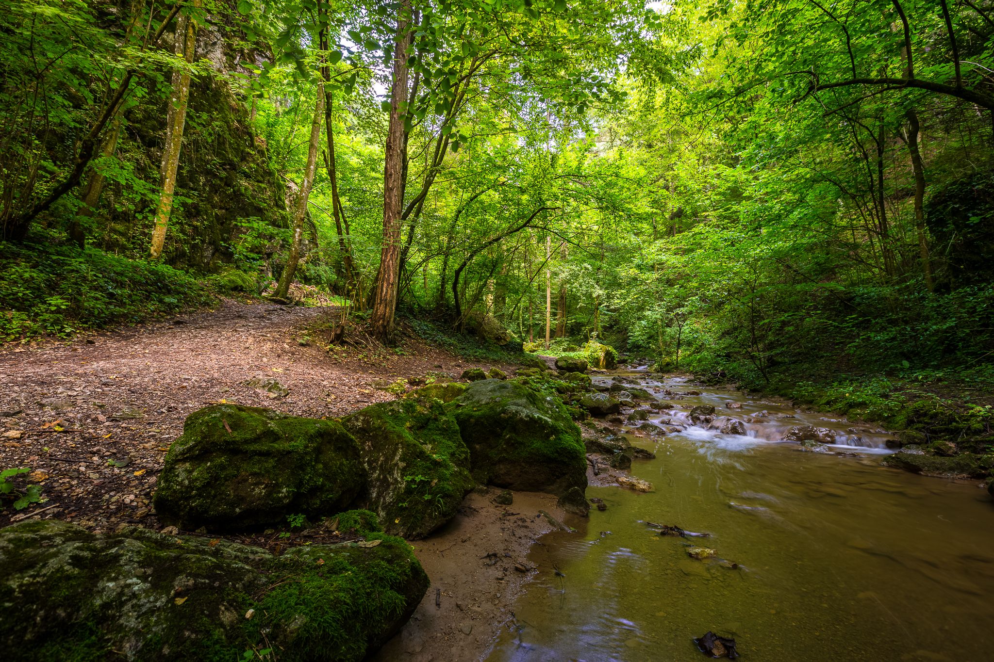 Ein Waldweg entlang eines flachen Baches in der Johannesbachklamm, umgeben von üppigem Grün und Felsen.