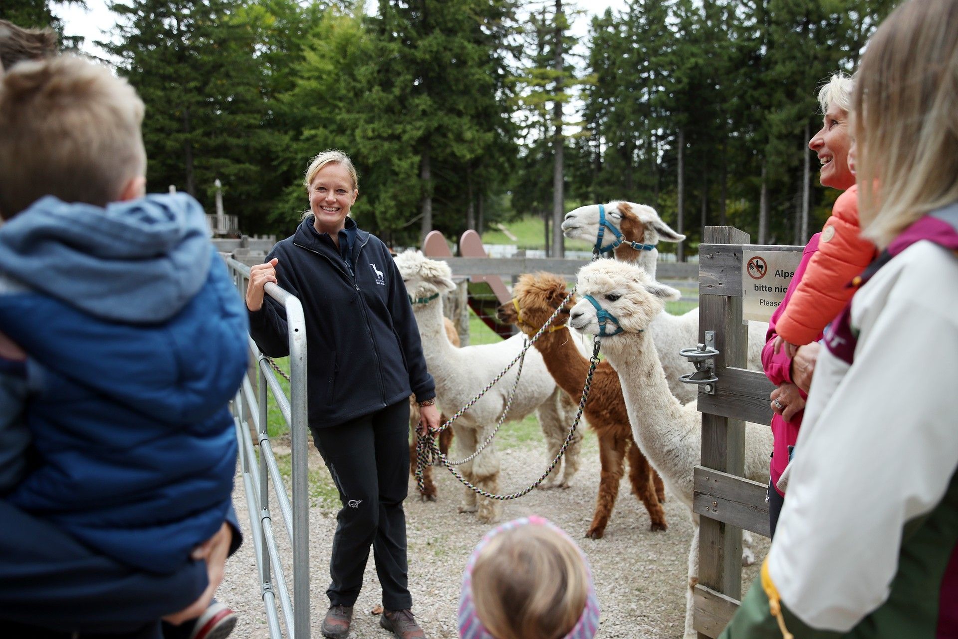 Die Naturpark Mitarbeiterin mit den Alpakas und Lamas 
