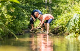 Zwei Personen beugen sich über einen Bach in einem grünen Wald.