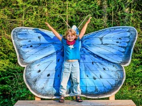 ASAGAN Schmetterling, &copy; Wiener Alpen in Nieder&ouml;sterreich - Schneeberg Hohe Wand