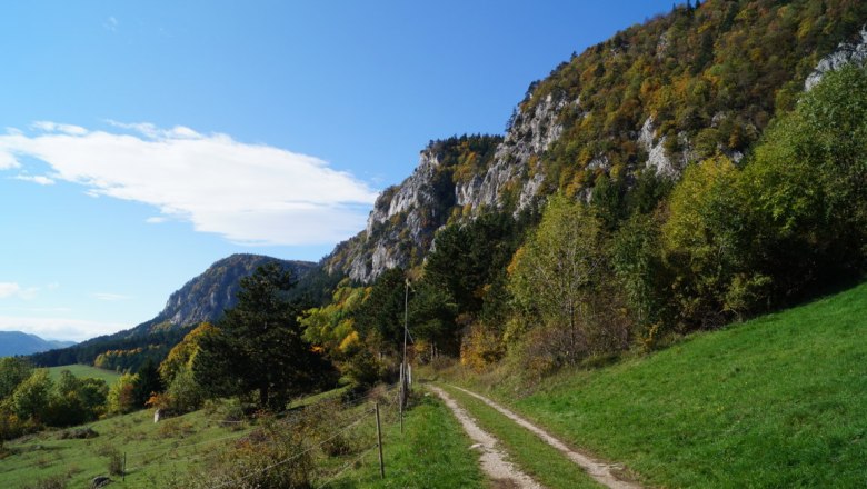 A hiking trail leads along a green meadow to a wooded hillside under a blue sky.