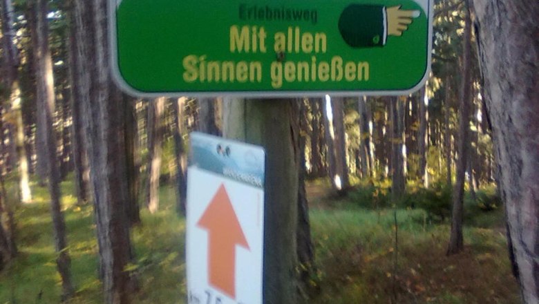 Ein Schild im Wald mit der Aufschrift 'Mit allen Sinnen genießen' und einem Pfeil nach oben.