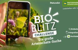 Bio Blitz Challenge NÖ Naturparke 