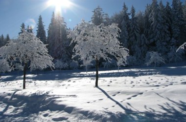 Winter im Naturpark, © Naturpark Hohe Wand 