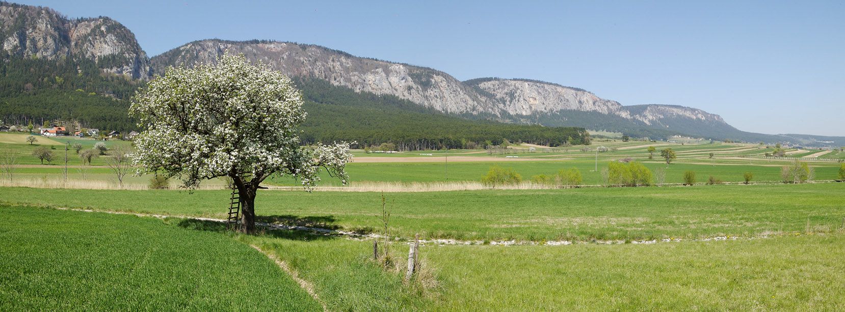 Blick auf die Hohe Wand 