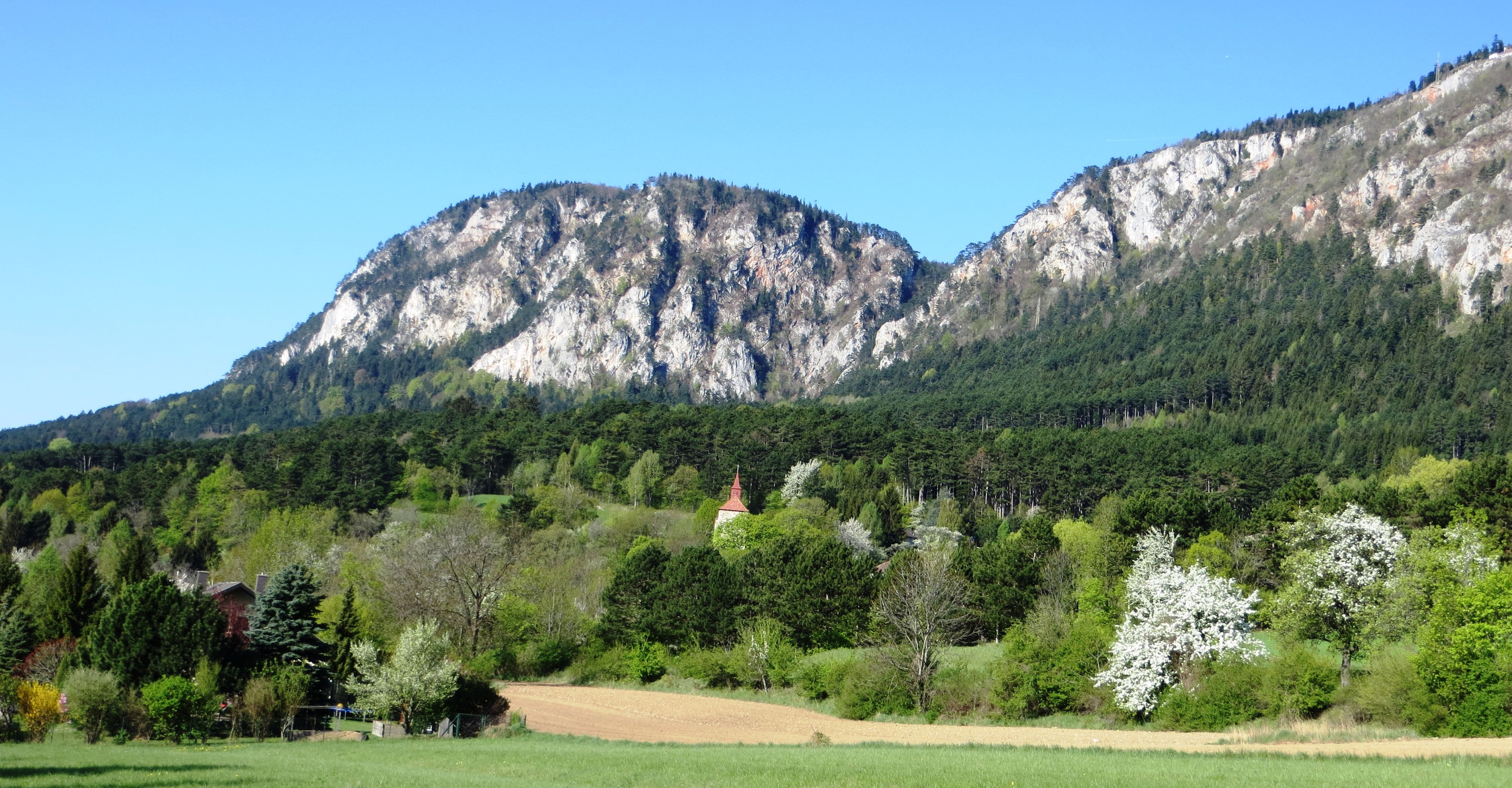 blühende Obstbäume am Fuß der Hohen Wand 