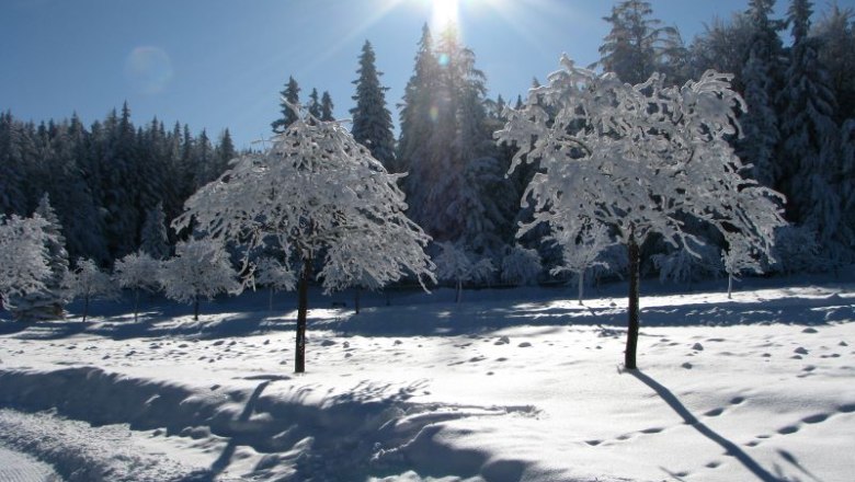 Wanderung Winter, © Naturpark Hohe Wand 