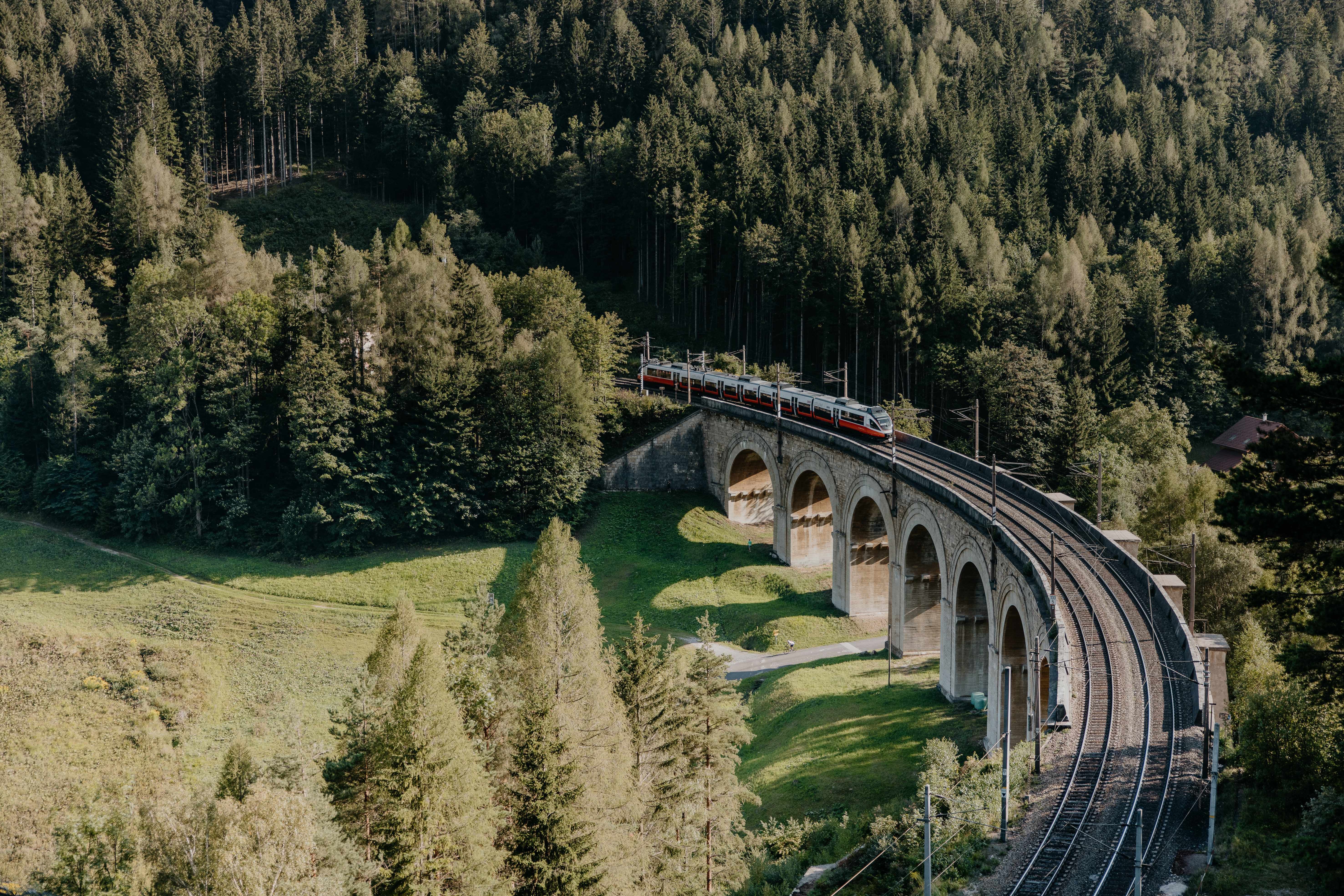 Ein Zug fährt über ein Viadukt, Bäume in der Umgebung