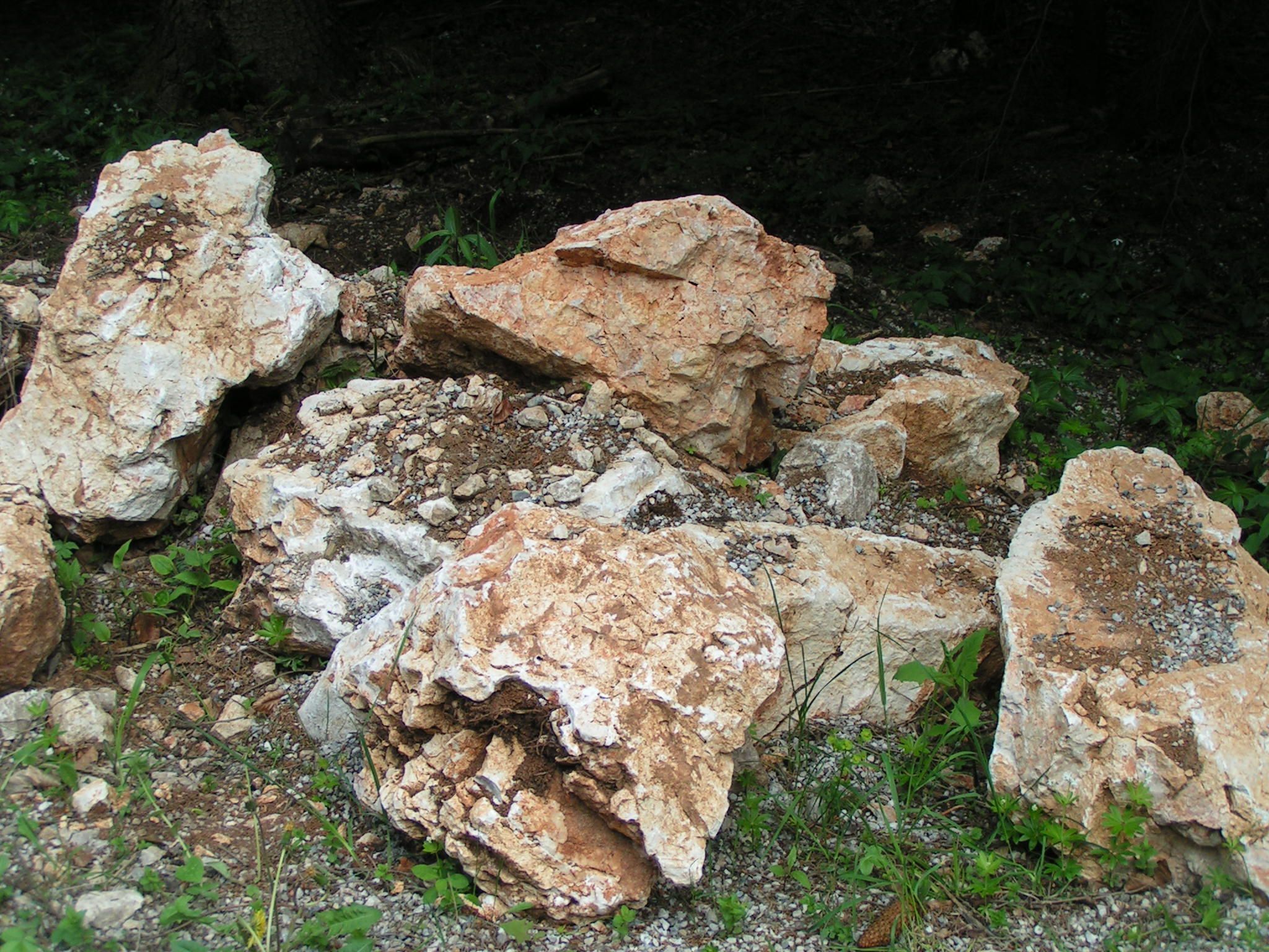 Kalksteine von der Hohen Wand