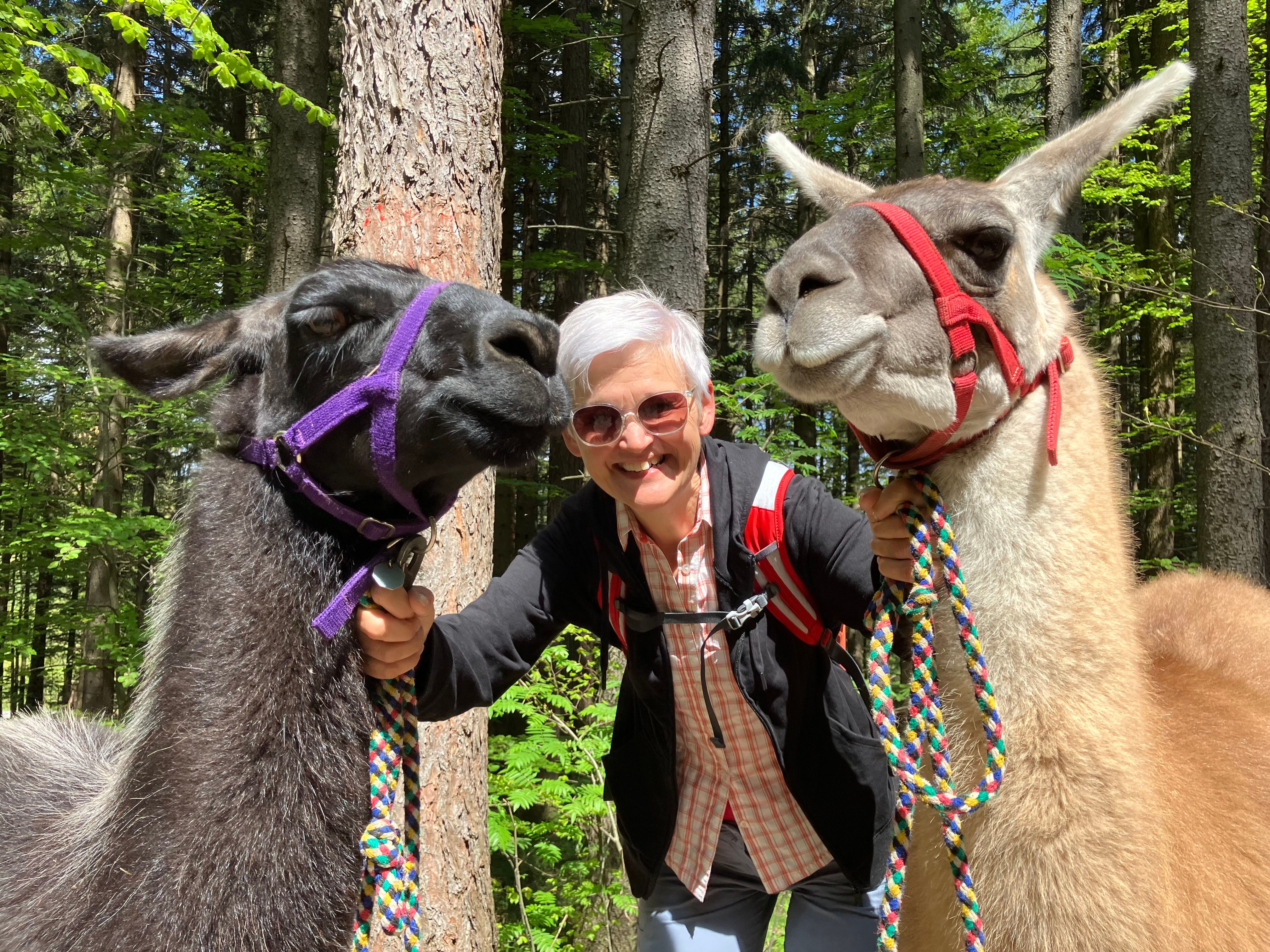 Lama Baroness und Klara mit Connie