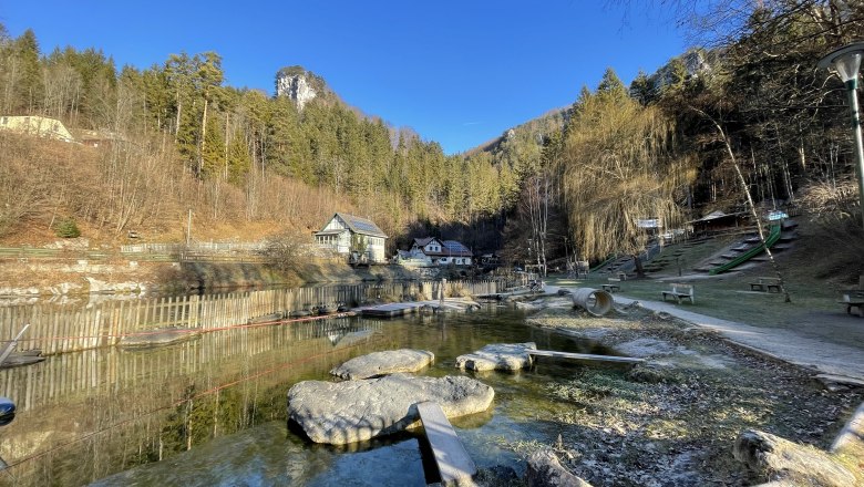 Entrance area of the Myra Falls with pond, benches and surrounding trees.