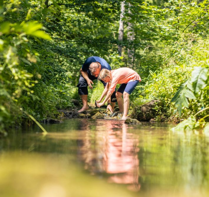 Zwei Personen beugen sich über einen Bach in einem grünen Wald.