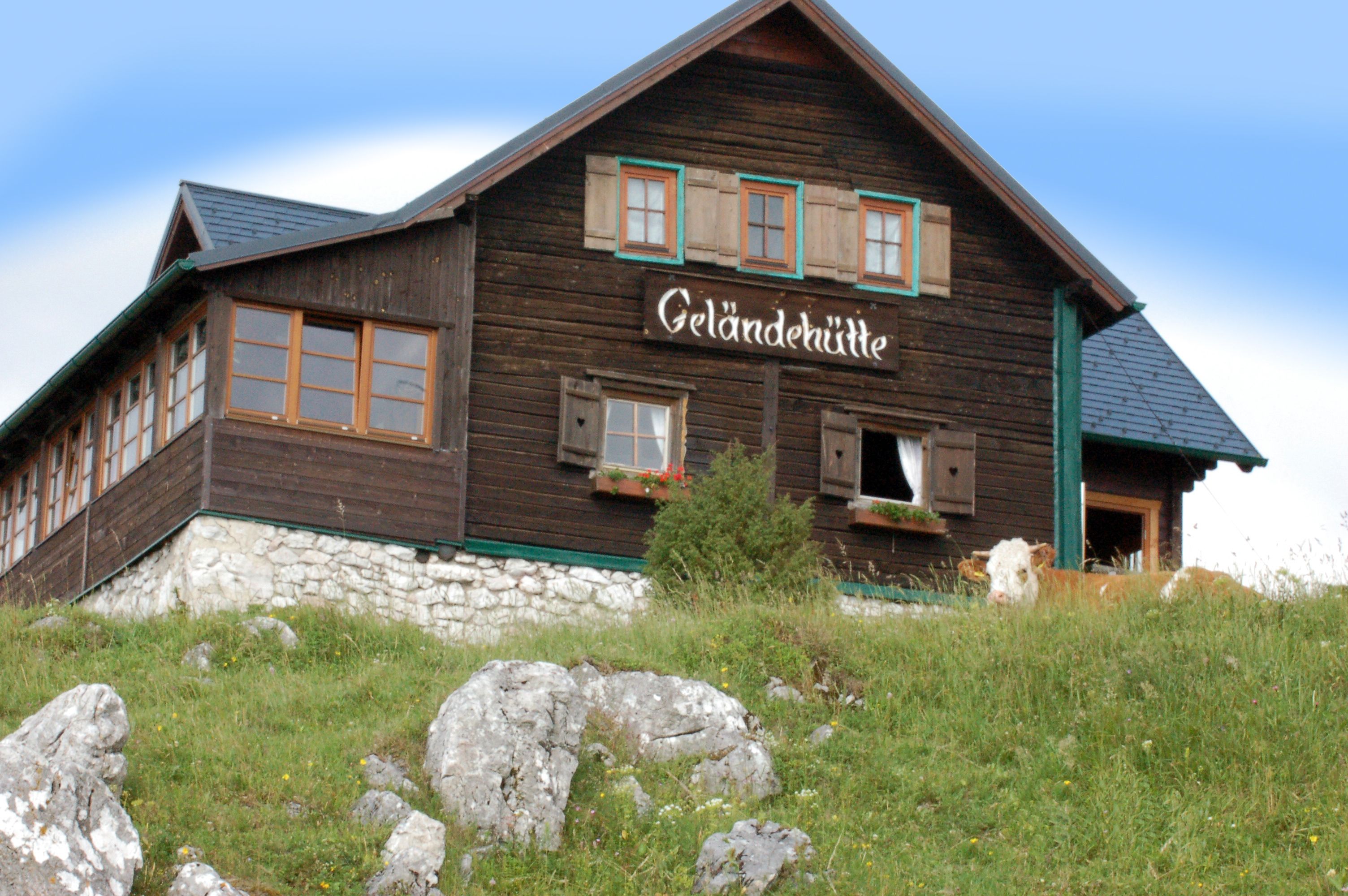 Eine Berghütte mit der Aufschrift 'Geländehütte' auf einer Wiese mit Felsen und einer Kuh im Vordergrund.