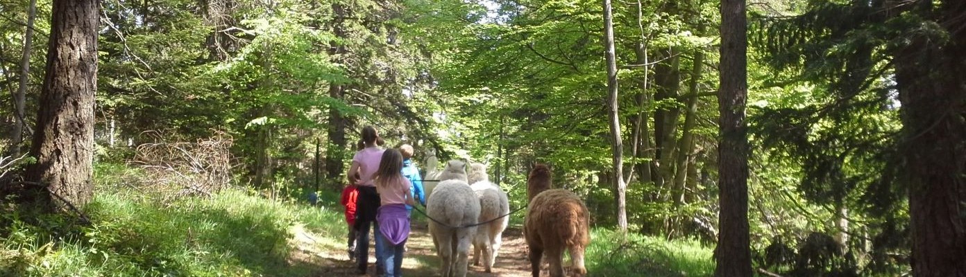 Lama_Alpaka Wanderung , © Naturpark Hohe Wand 