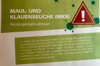 Vorsorge MKS, © LK
