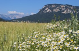 Europaschutzgebiet Nordöstliche Randalpen , © Naturpark Hohe Wand 