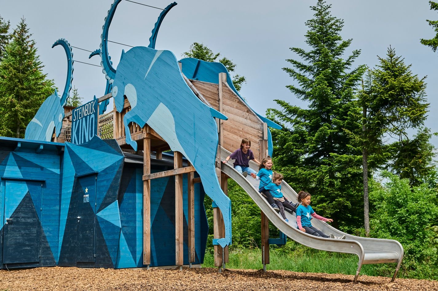 Steinbock Kino Hohe Wand