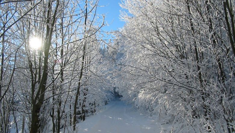 Winter im Naturpark , © Naturpark Hohe Wand 
