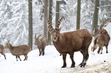 Winter , © Michael Fraller