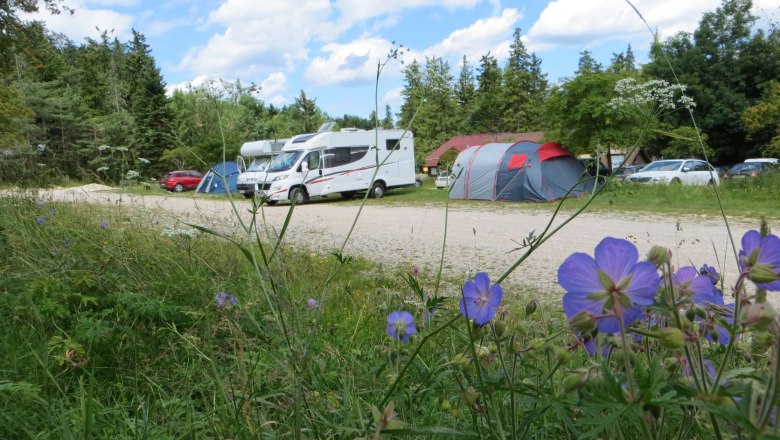 Campingplatz mit Wohnmobilen, Zelten und bl&uuml;henden Blumen im Vordergrund.