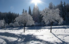 Winter Wanderung , © Naturpark Hohe Wand 