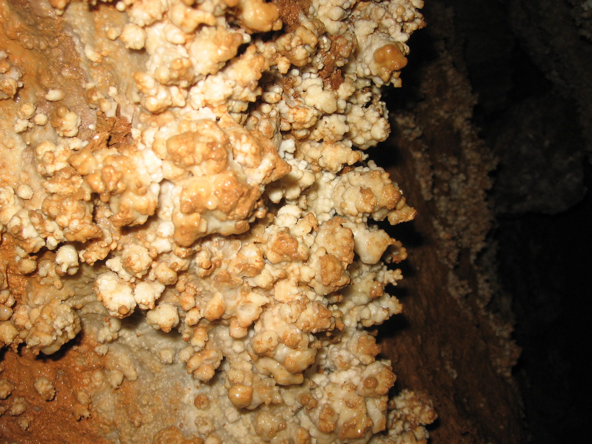 Close-up of mineral deposits in a cave.