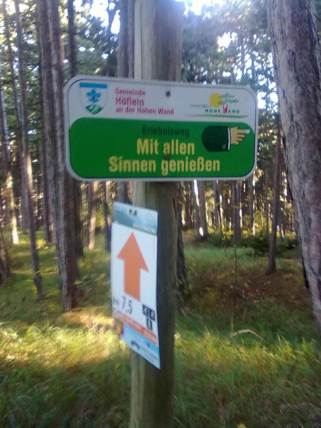 Egy tábla az erdőben "Élvezd minden érzékszerveddel" felirattal.