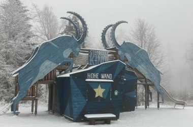 Winterliches Steinbock Kino, © Naturpark Hohe Wand 