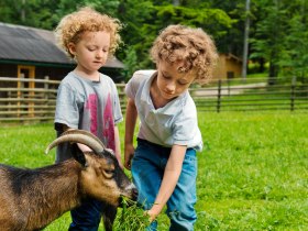 Naturpark Hohe Wand, &copy; &copy;Naturpark Hohe Wand